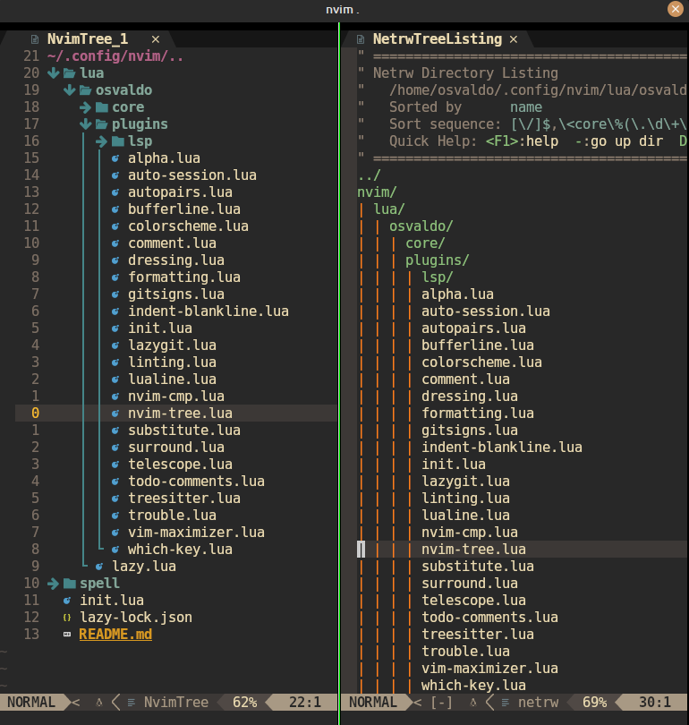 Visual difference between <code>nvim-tree</code> (left) and <code>netrw</code> (right) /2024/04/neovim-fix-spellfilemissing-netrw-disabled/nvim-tree-vs-netrw.png